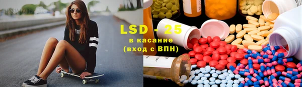 прущие грибы Бабаево