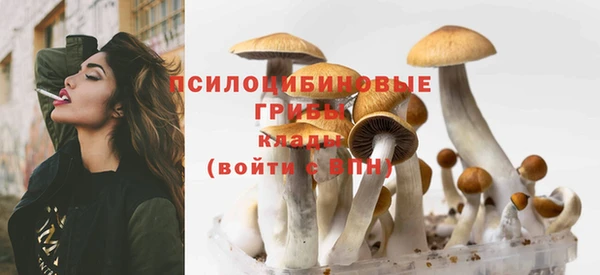 прущие грибы Бабаево