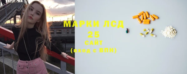 прущие грибы Бабаево