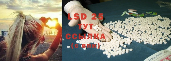 ECSTASY Михайлов